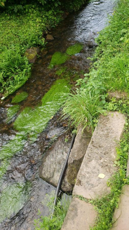 Gite A La Petite Fontaine-Plain Pied-Maison Alsacienne Renovee Avec Passion-4 Pers-4Nuitees Minimum Langensoultzbach Bagian luar foto