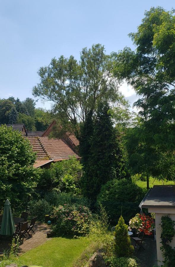 Gite A La Petite Fontaine-Plain Pied-Maison Alsacienne Renovee Avec Passion-4 Pers-4Nuitees Minimum Langensoultzbach Bagian luar foto