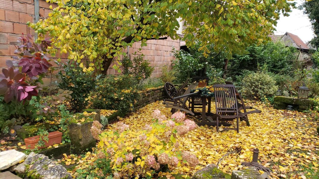 Gite A La Petite Fontaine-Plain Pied-Maison Alsacienne Renovee Avec Passion-4 Pers-4Nuitees Minimum Langensoultzbach Bagian luar foto