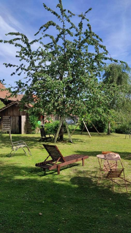 Gite A La Petite Fontaine-Plain Pied-Maison Alsacienne Renovee Avec Passion-4 Pers-4Nuitees Minimum Langensoultzbach Bagian luar foto