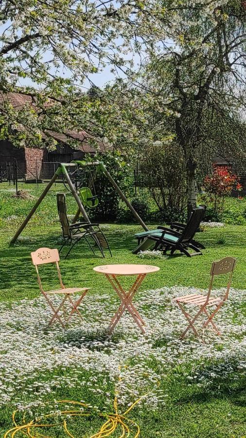 Gite A La Petite Fontaine-Plain Pied-Maison Alsacienne Renovee Avec Passion-4 Pers-4Nuitees Minimum Langensoultzbach Bagian luar foto